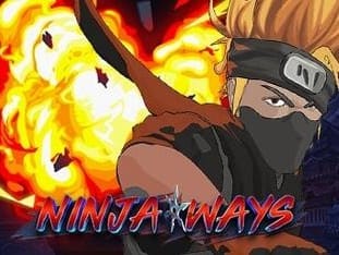 Ninja Ways game cover