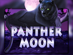 Panther Moon game cover