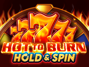 Hot To Burn Hold And Spin game cover